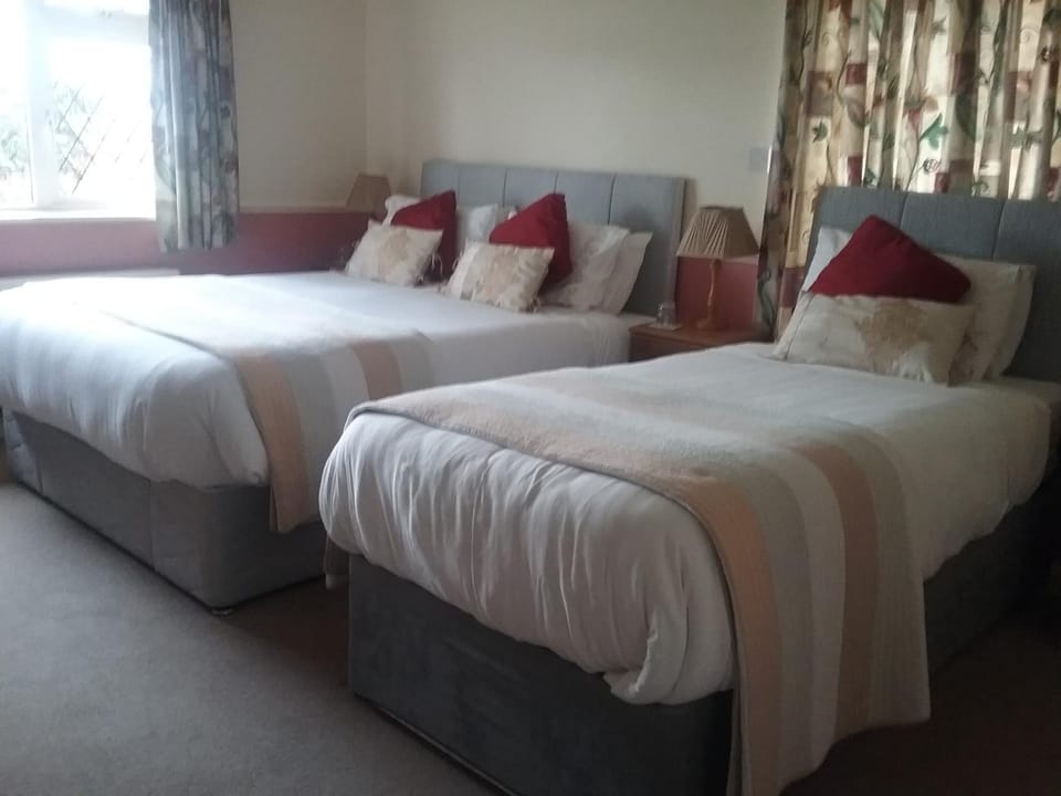 Rocksberry Bed & Breakfast Bed and Breakfast in County Mayo