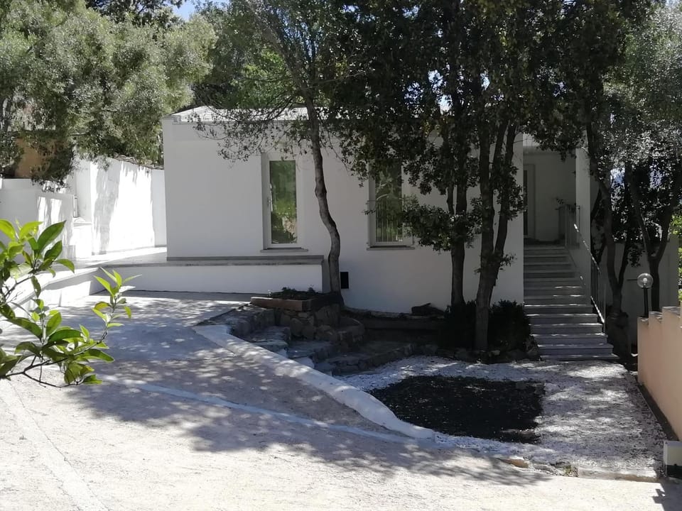 Property building, Garden, Garden view