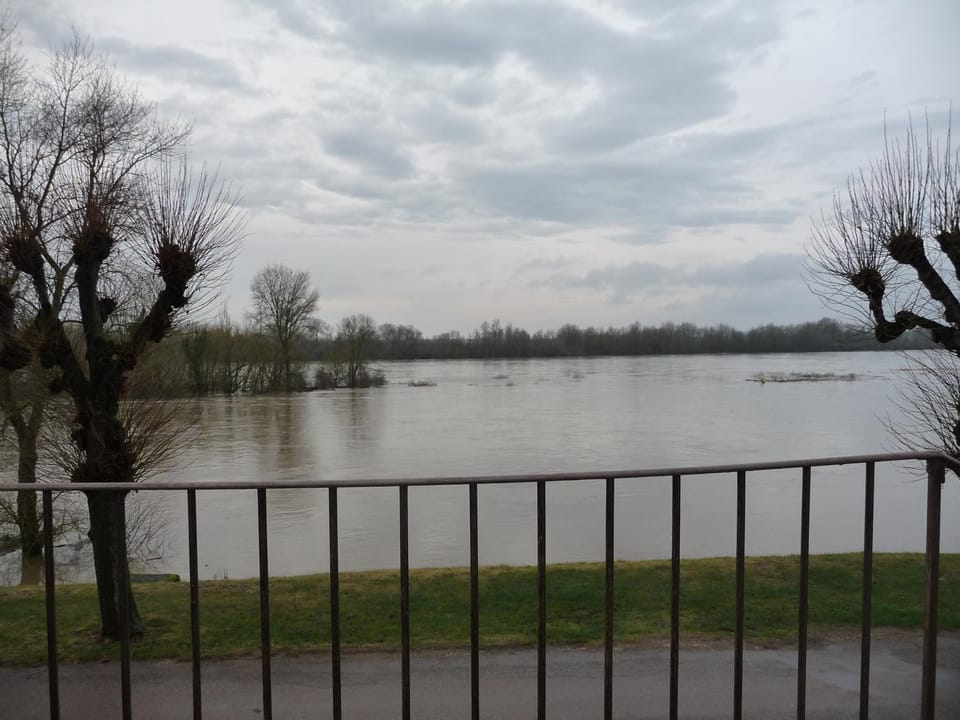 Natural landscape, River view