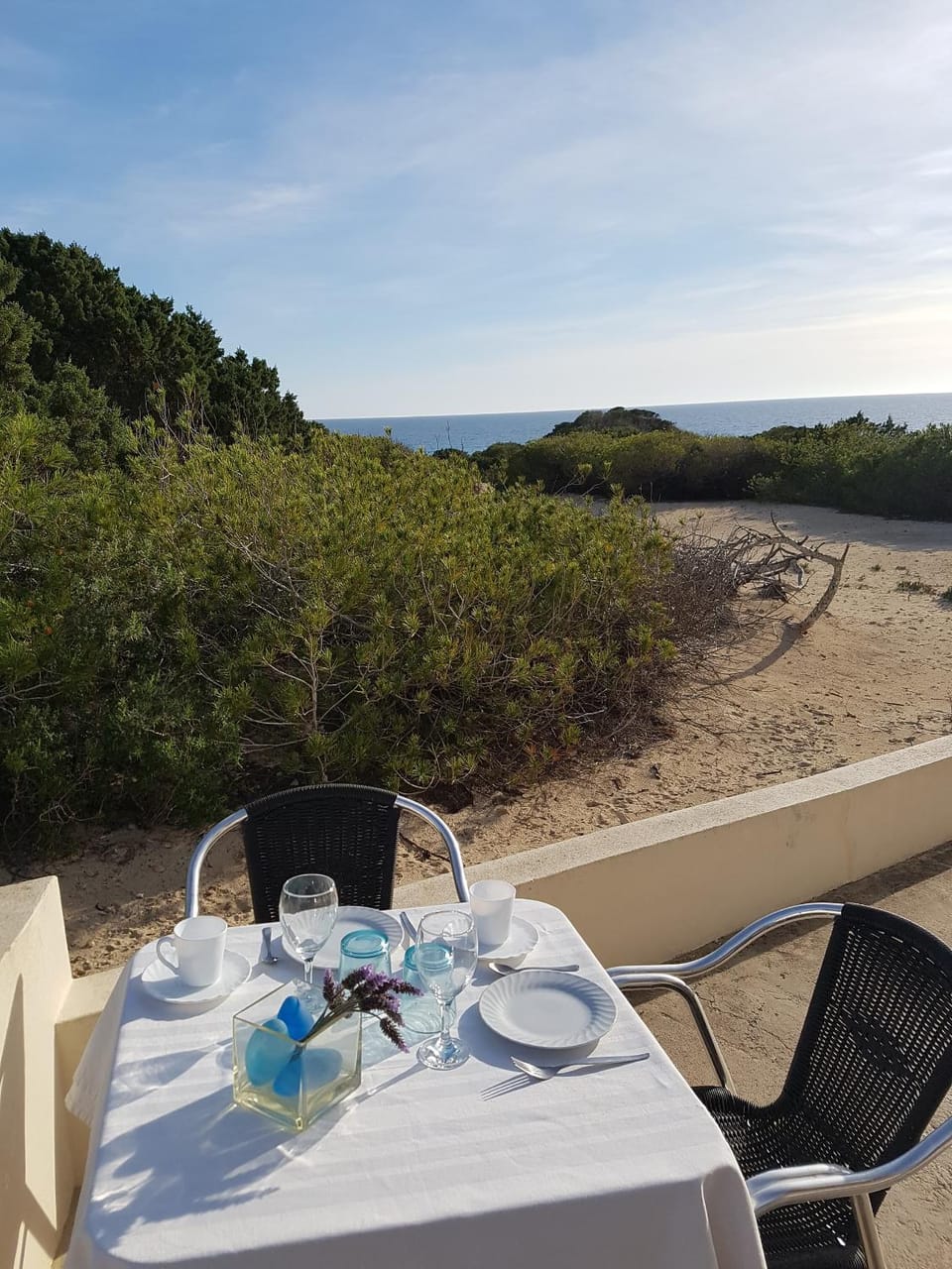 Viviendas Es Carritx Apartment in Formentera