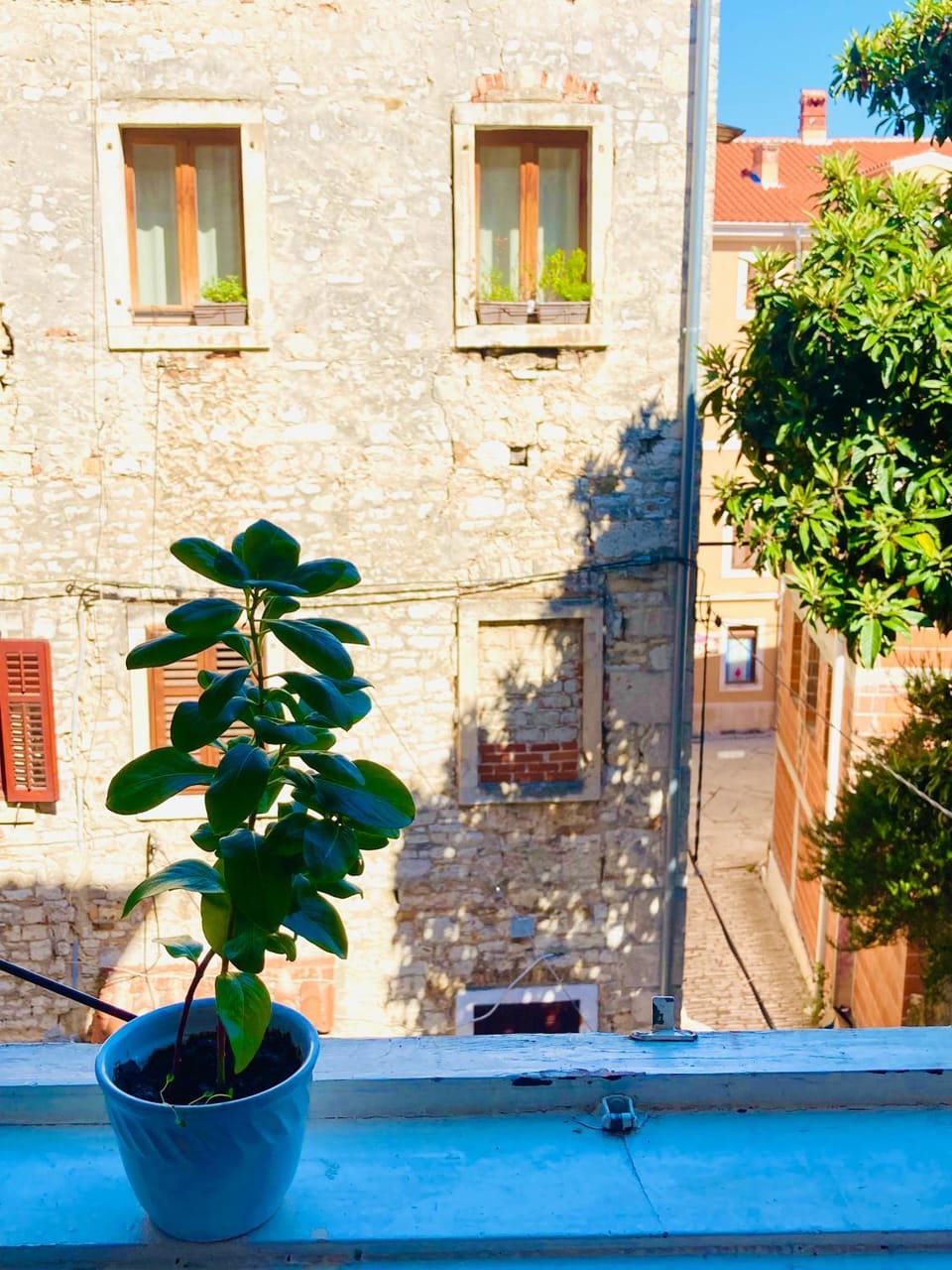 View (from property/room)