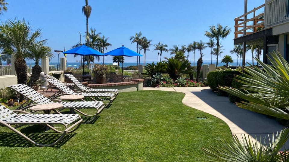 Garden, sunbed