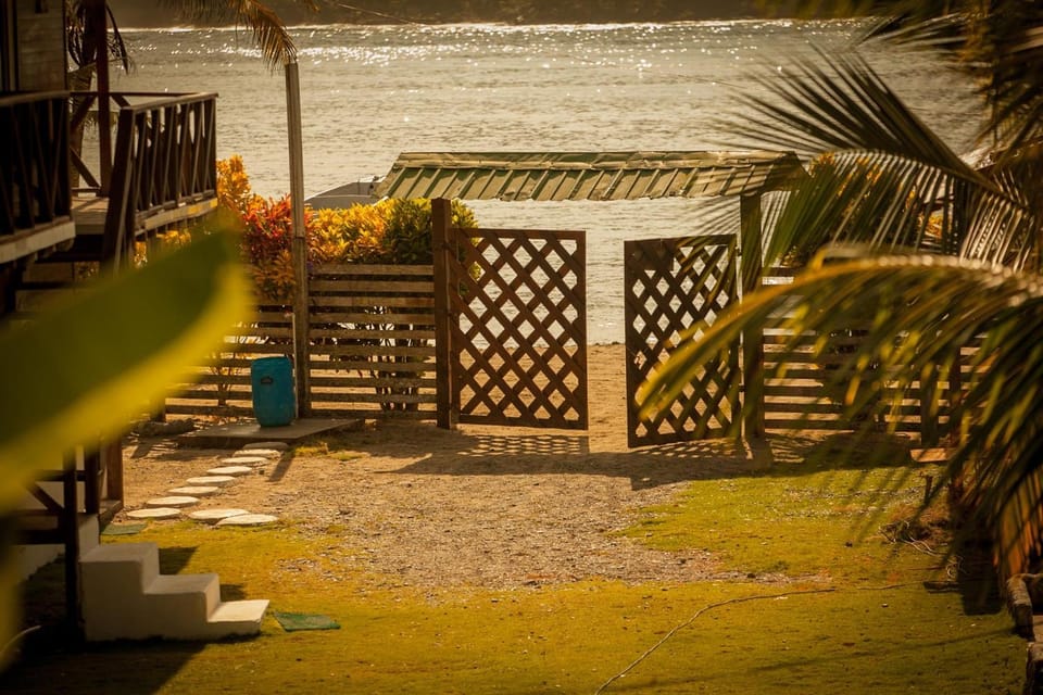 Garden, Sea view