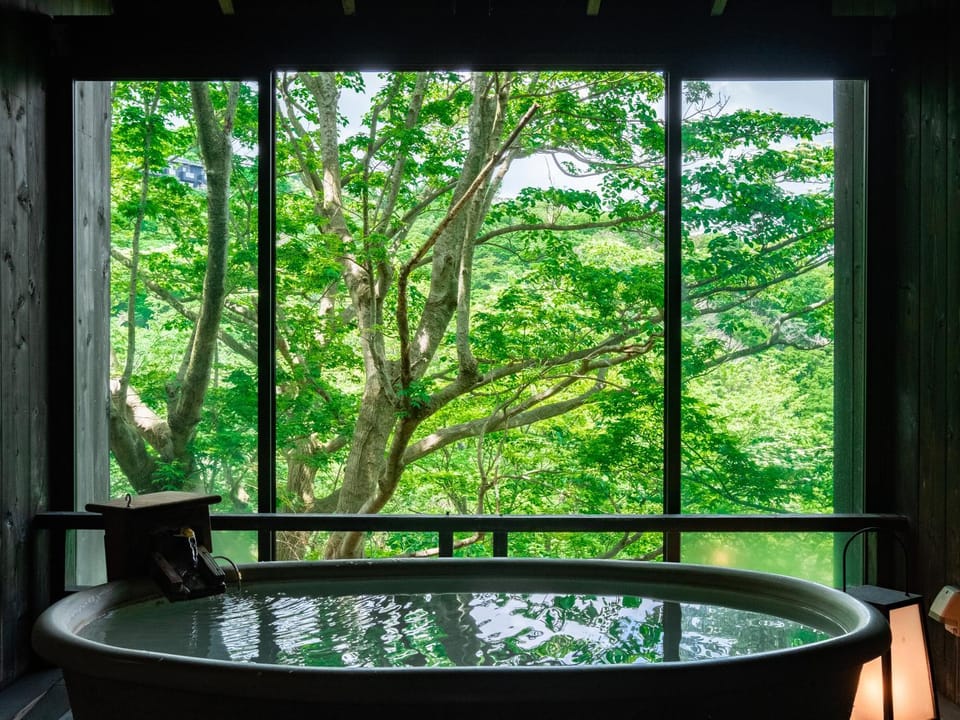 Hot Spring Bath, Open Air Bath