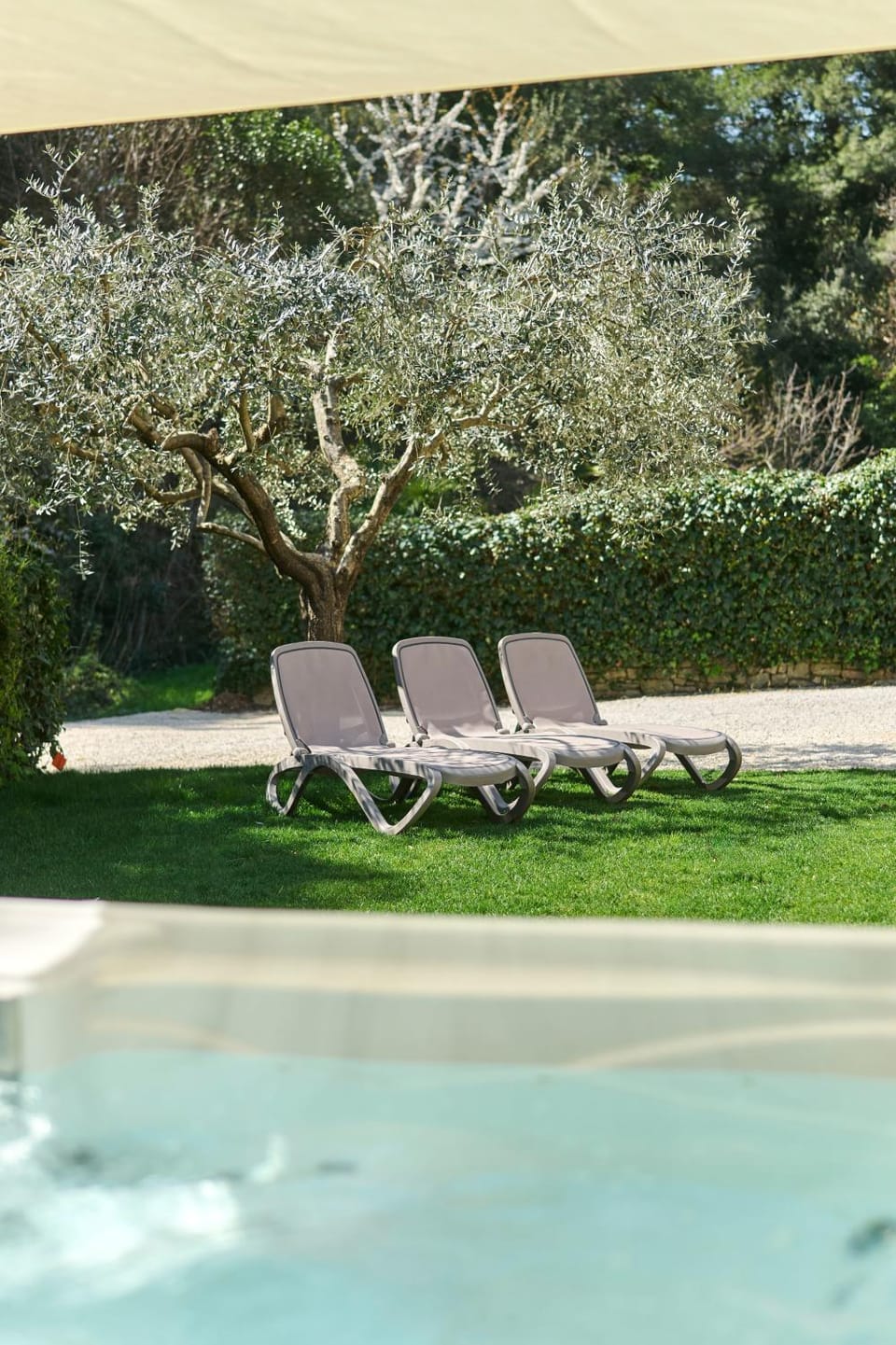 Spring, Day, Garden, Garden view, sunbed