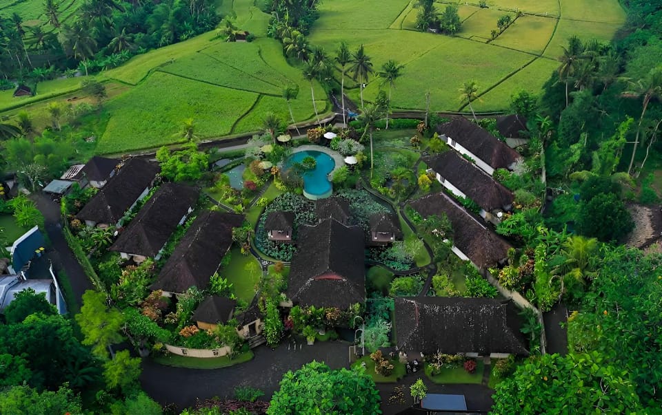 Day, Neighbourhood, Natural landscape, Bird's eye view