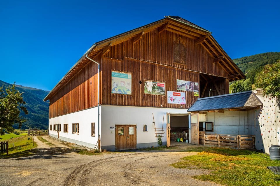 Dorfergut Farm Stay in Salzburgerland