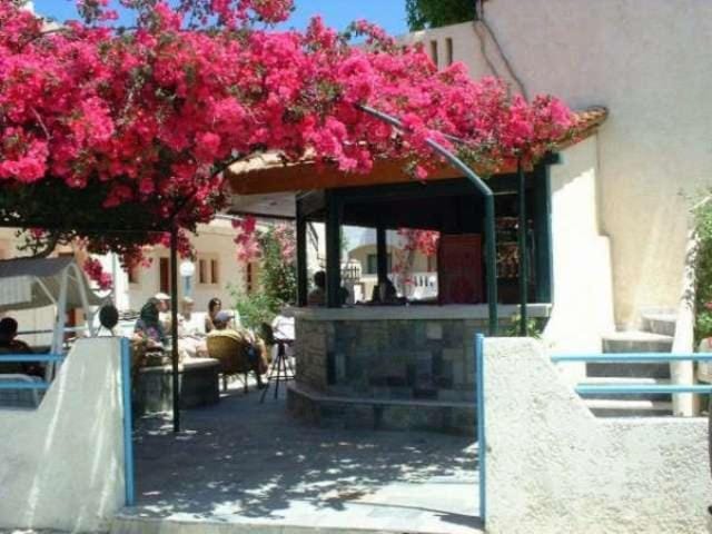 Day, Garden, Lounge or bar
