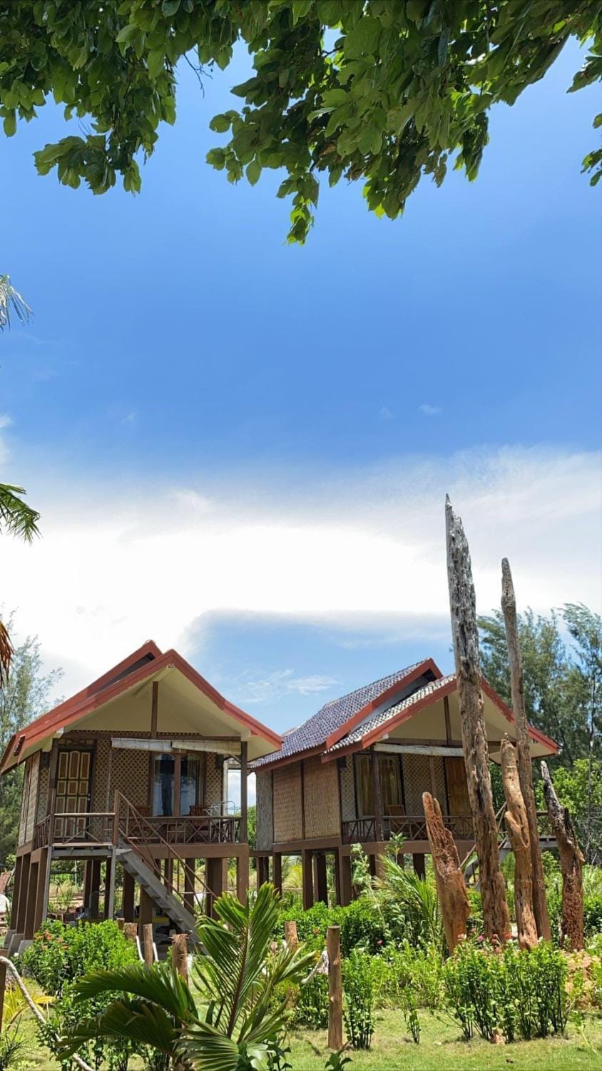 Property building, Day, Garden view