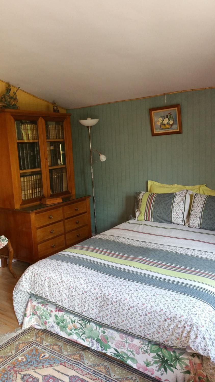 Bed, Library, Photo of the whole room, Bedroom