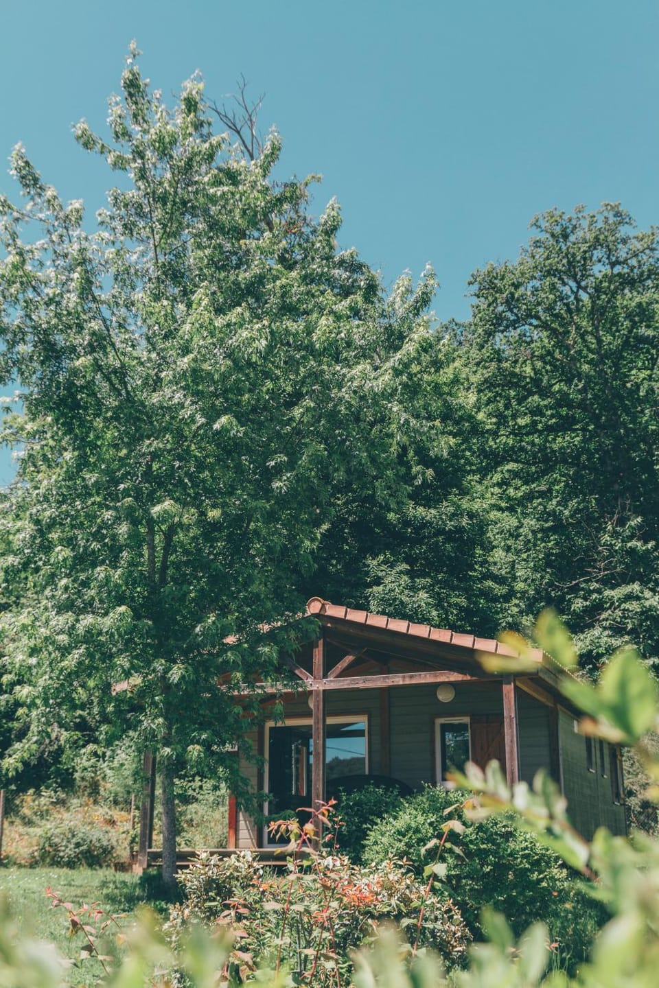 Patio, Garden
