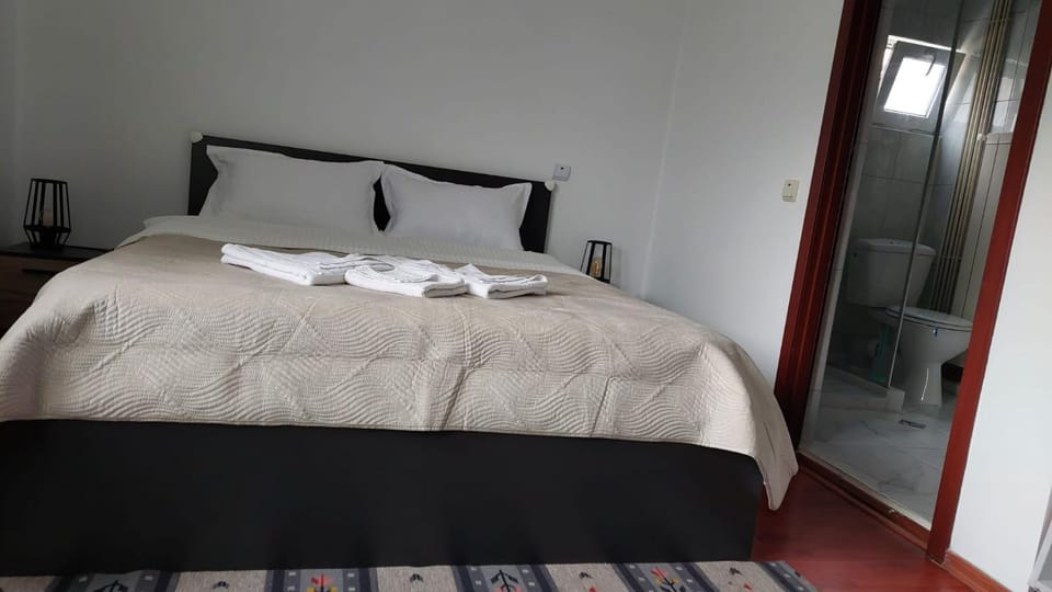 Pensiunea Marion Bed and Breakfast in Prahova, Romania