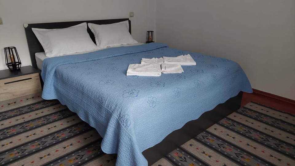 Pensiunea Marion Bed and Breakfast in Prahova, Romania