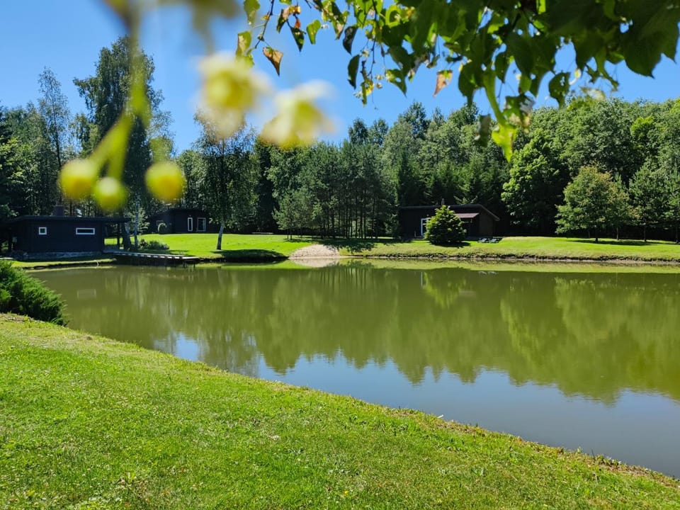 Natural landscape, Lake view