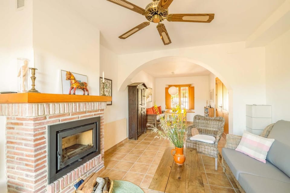 Living room, fireplace