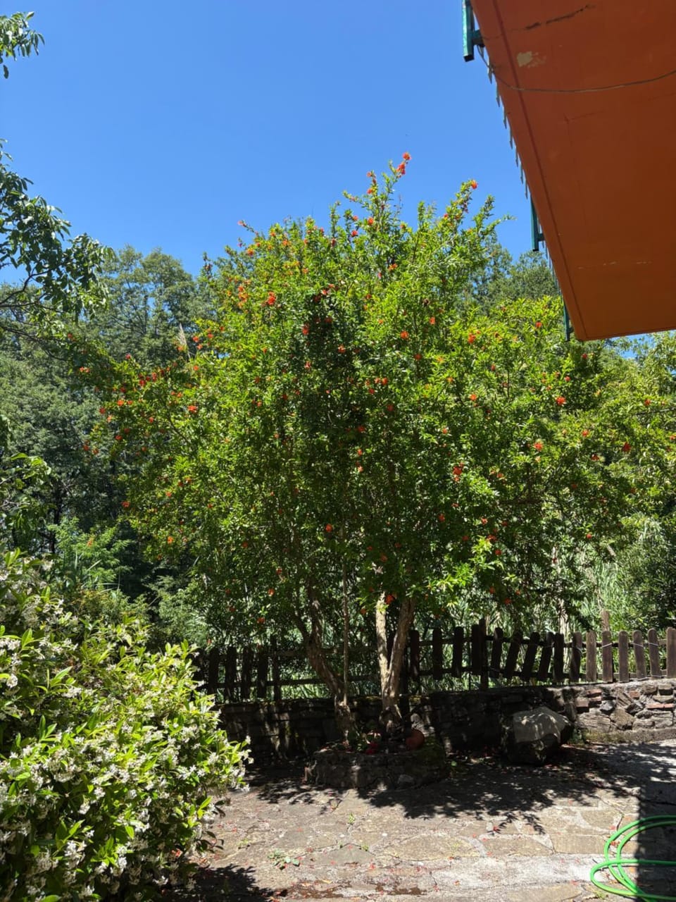 Casa Bellavista House in Basilicata