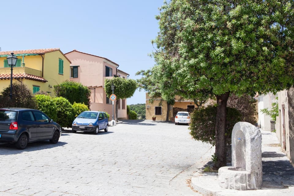 Neighbourhood, Natural landscape, Supermarket/grocery shop