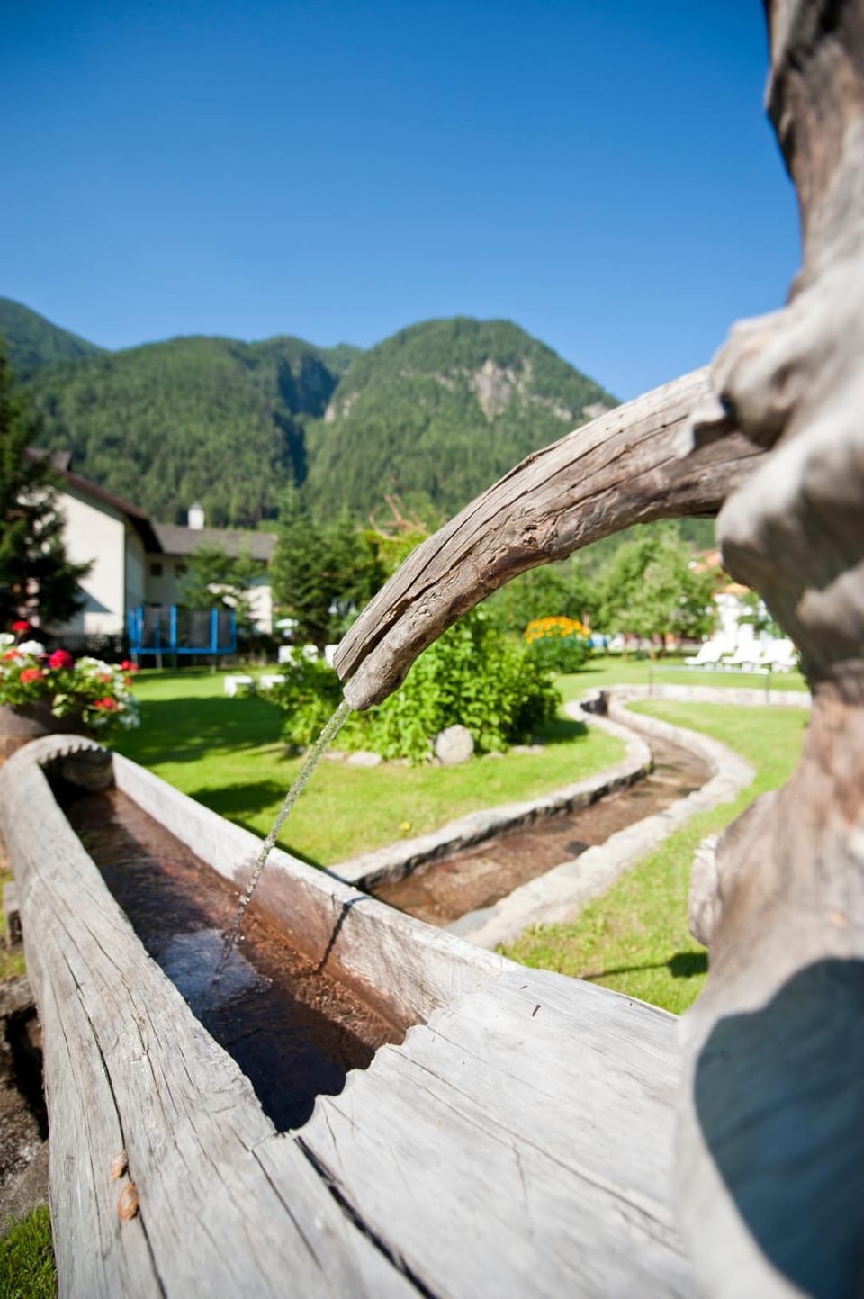 Natural landscape, Garden, Other