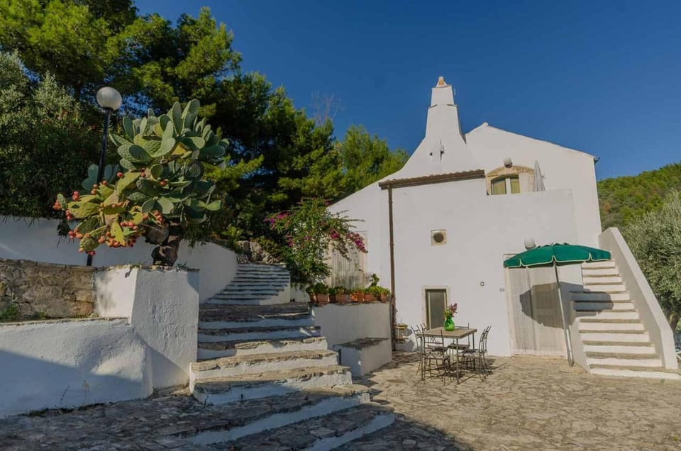 Property building, Garden, Garden view
