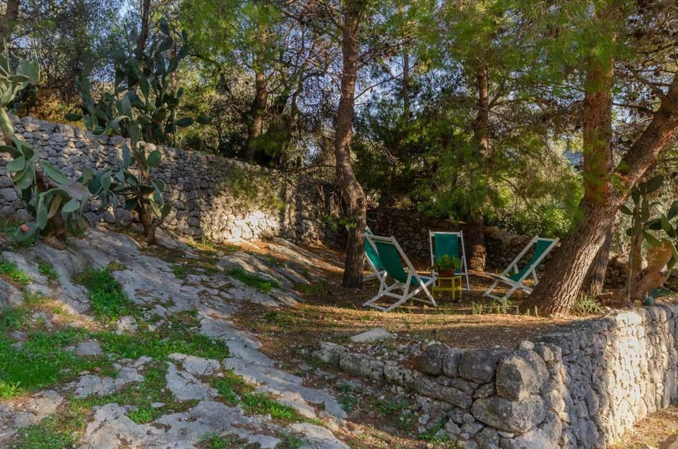 Natural landscape, Garden, Garden view