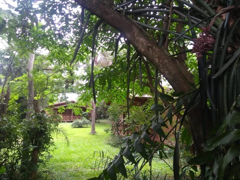Posada de los Árboles Inn in Misiones Province, Argentina
