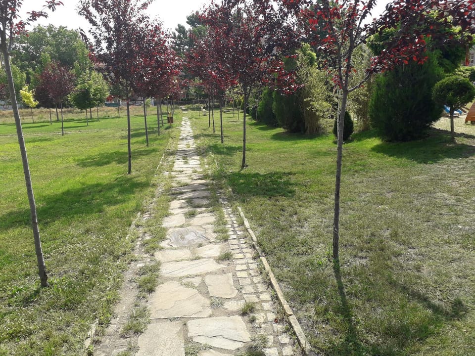 Natural landscape