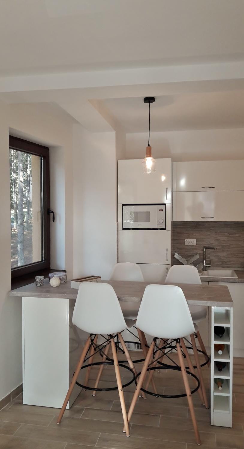 Zlatibor Wood Apartment in Zlatibor