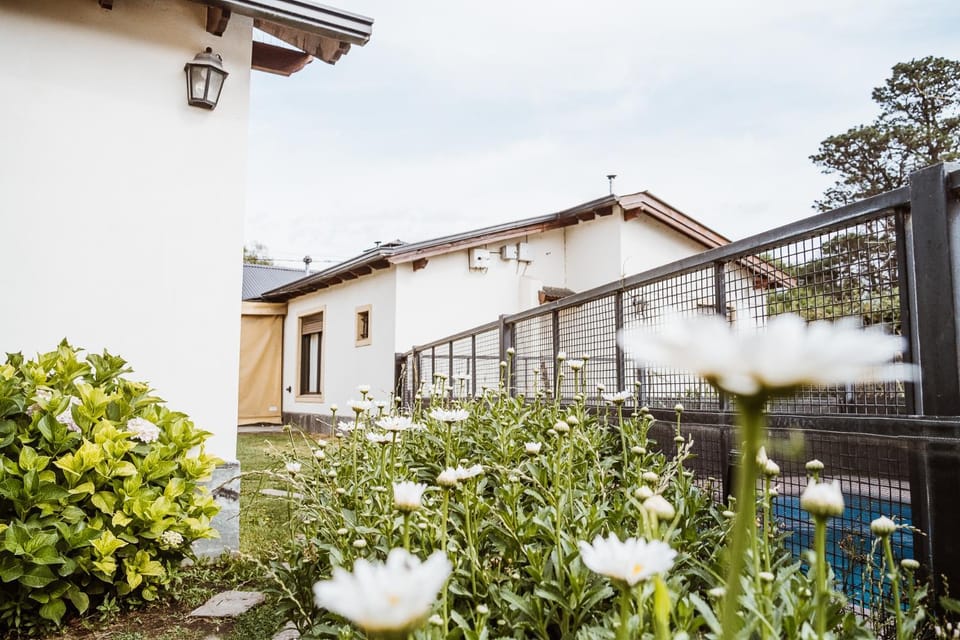 Day, Garden, Garden view, Pool view, Swimming pool