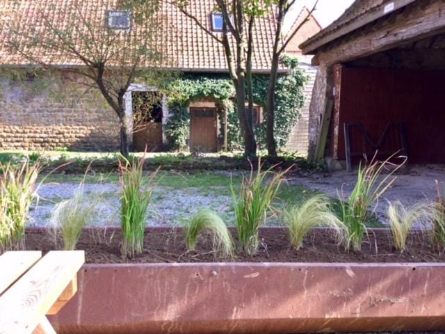 Garden view