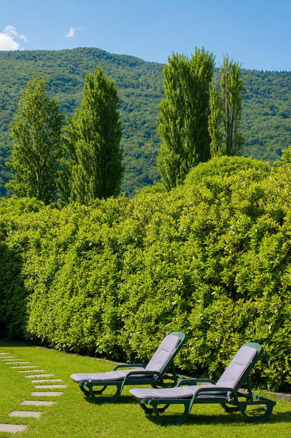 Garden, sunbed