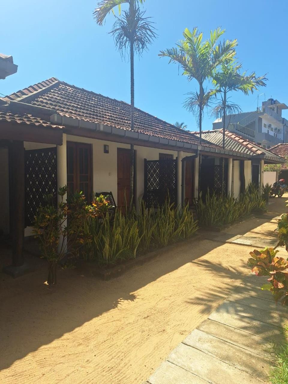 Garden view