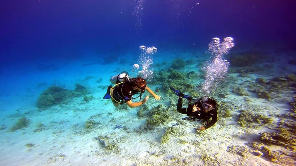 Diving