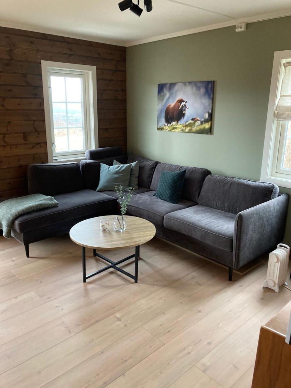Oppdal Alpintun Apartment in Trondelag