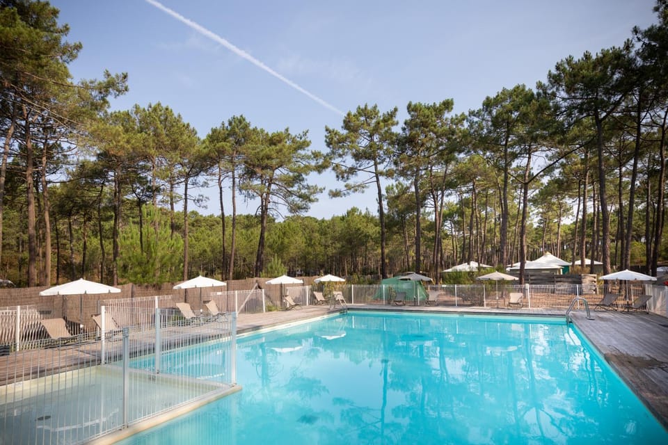 Natural landscape, Pool view, Swimming pool, sunbed