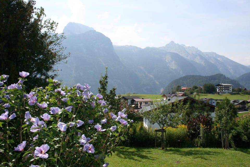 Haus Bergheimat Apartment in Salzburgerland