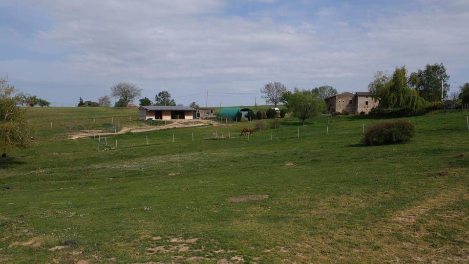 Neighbourhood, Natural landscape, View (from property/room)