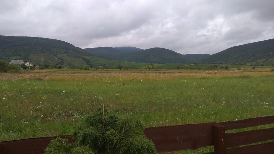 Mountain view