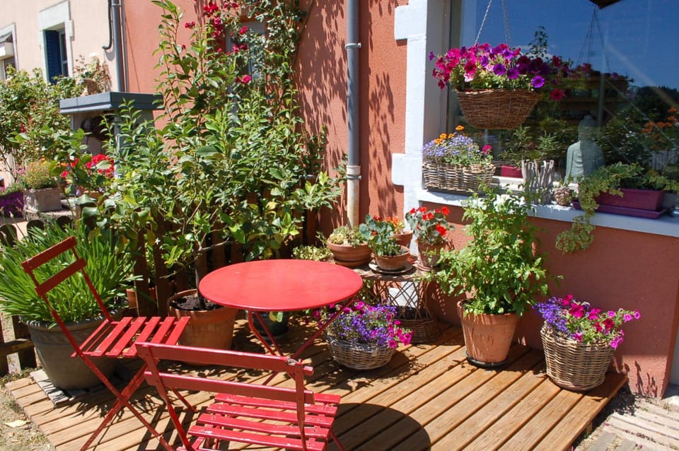 Garden view