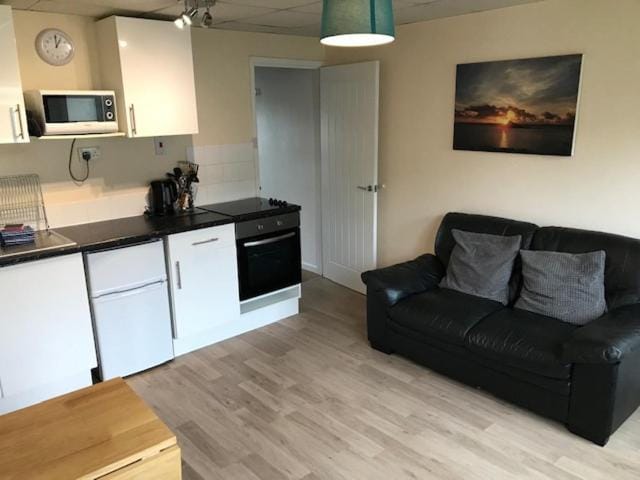 Kitchen or kitchenette, Living room, Seating area, minibar, pet friendly, stove