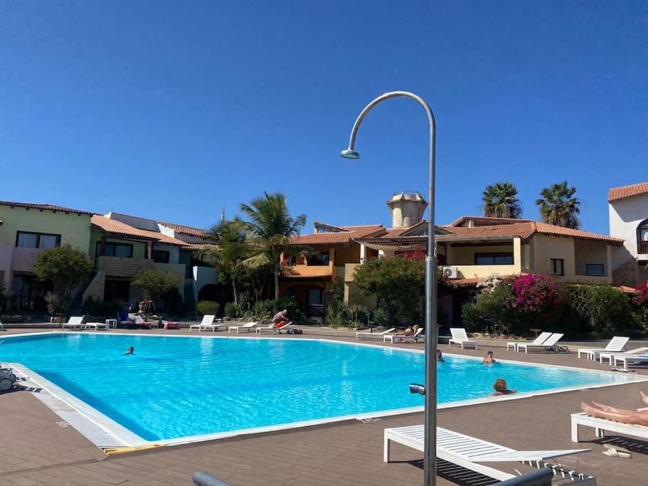 Property building, Swimming pool, sunbed