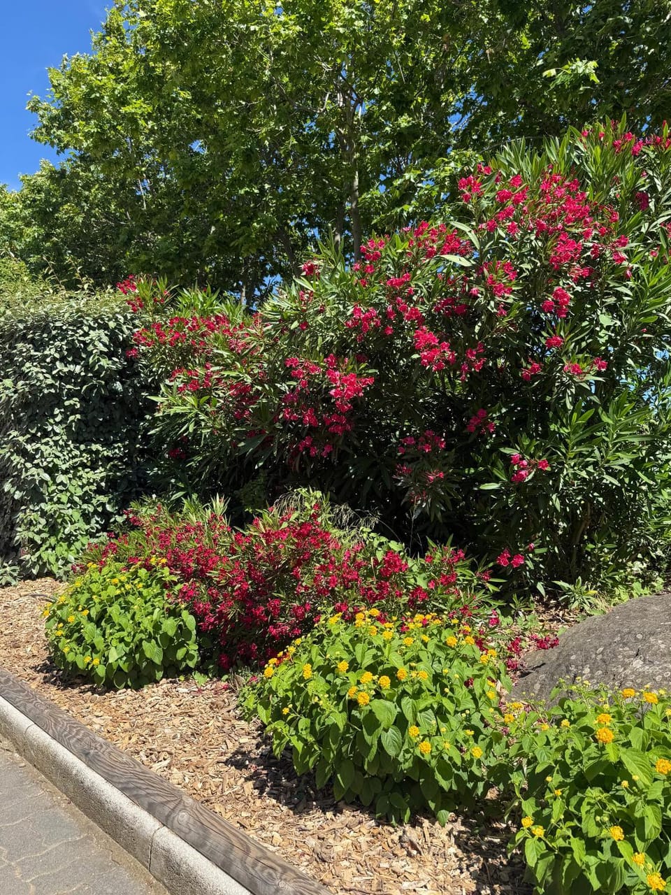Garden, Garden