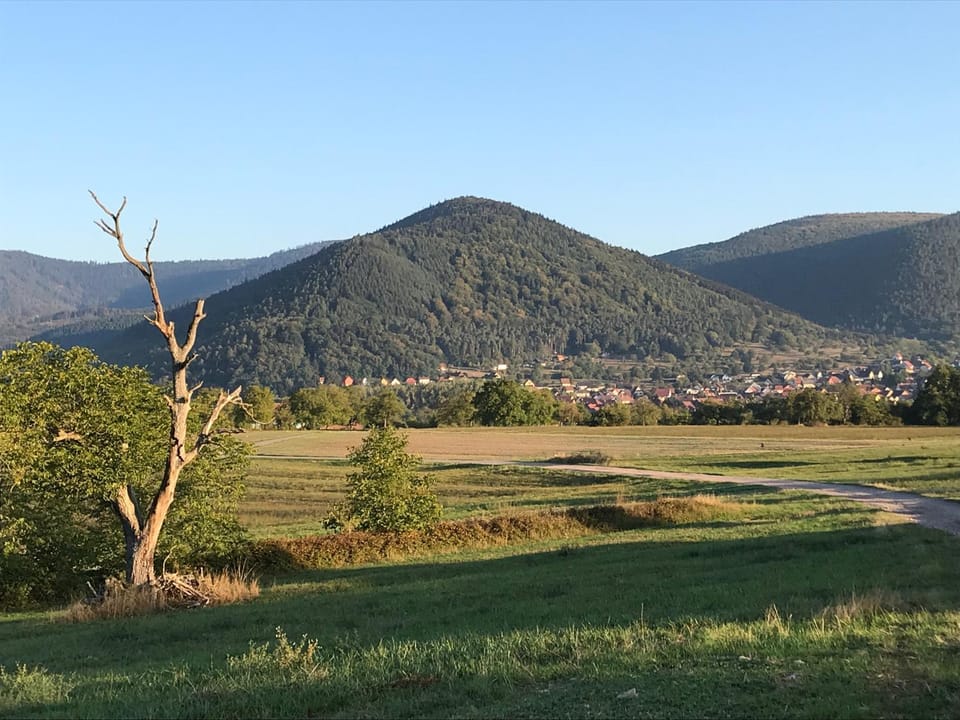 Natural landscape