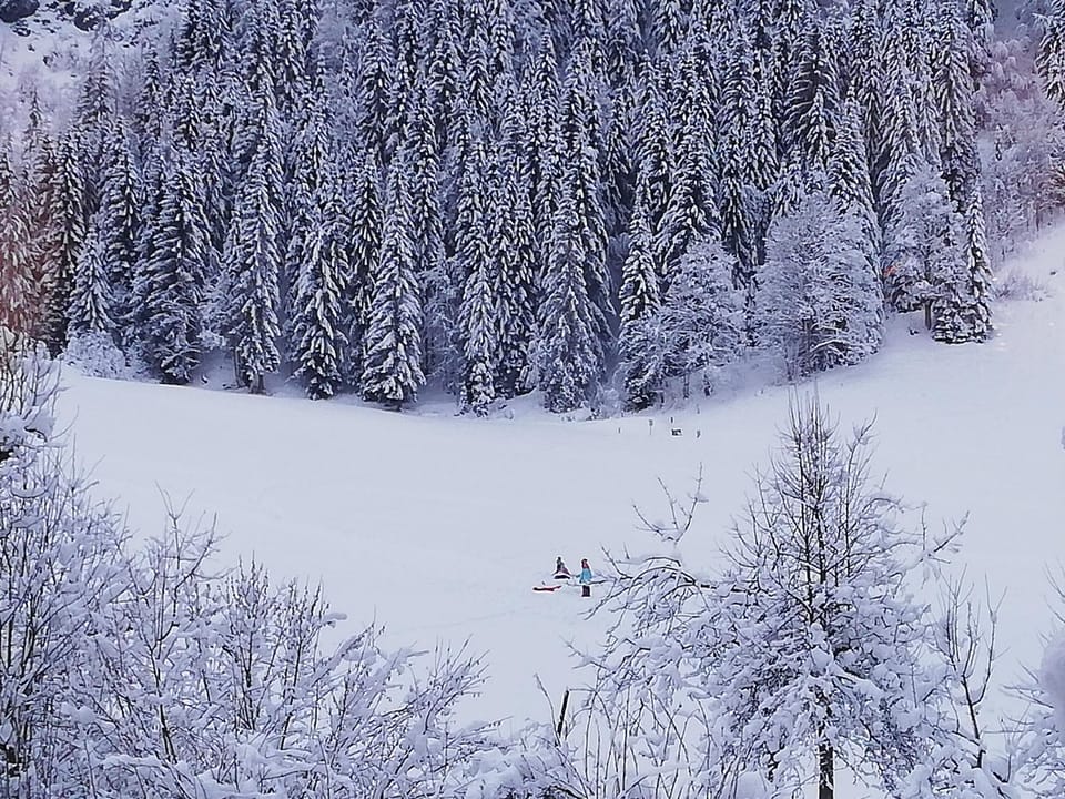 Natural landscape, Winter, Skiing, On site, Family