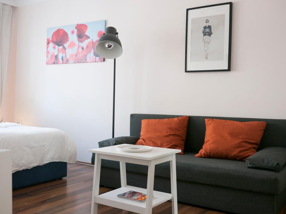 Spacious 2Rooms central area Apartment in Vienna