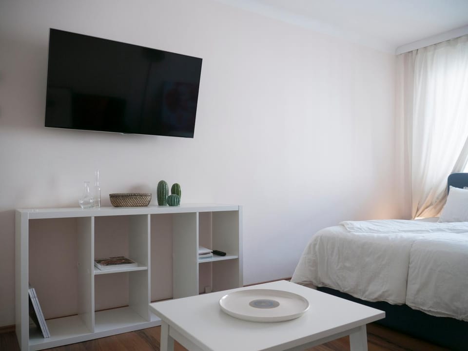 Spacious 2Rooms central area Apartment in Vienna
