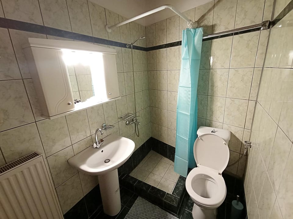 Shower, Toilet, Bathroom