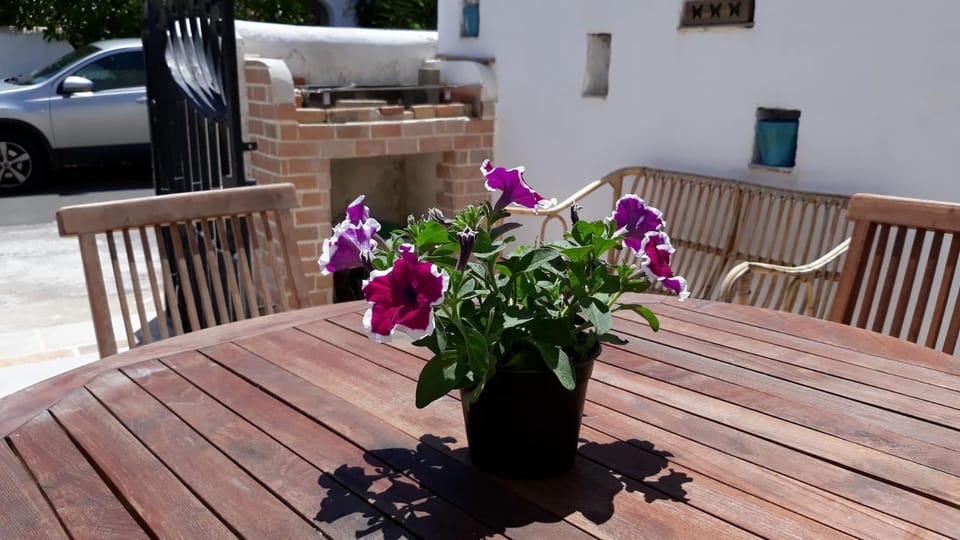 VILLINO DOLORES 30 MT MARE House in Porto Cesareo