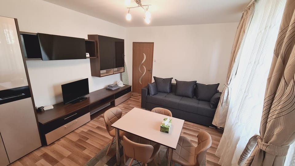 Sibiu Travel Apartment Apartment in Sibiu