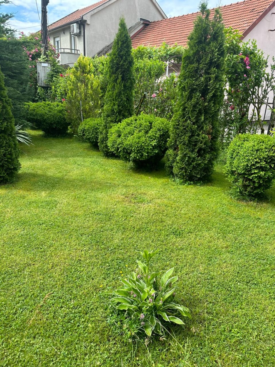 Apartman Lili Apartment in Montenegro