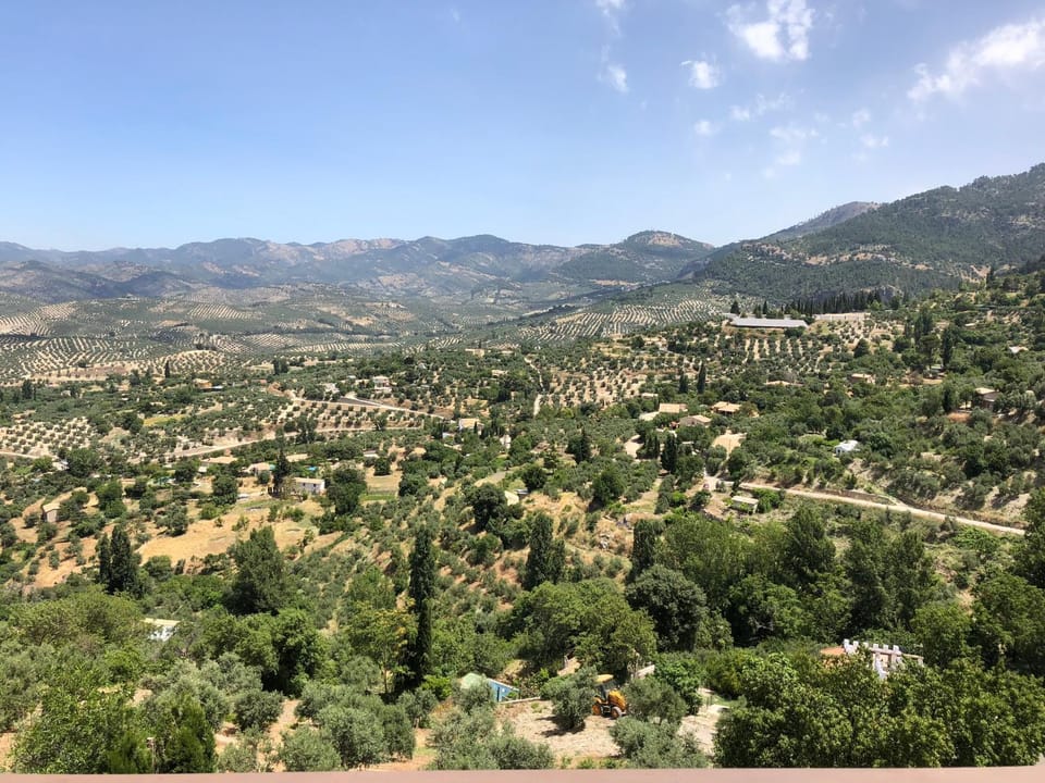Mountain view